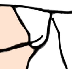 Princess Peach's White Underwear Meme Template