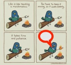 Little Hiker Bird Meme Template