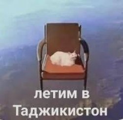 Cat on flying chair Meme Template
