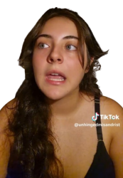 unhingedmisandrist Meme Template
