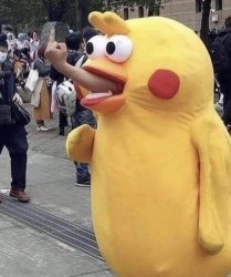 The Bird Meme Template