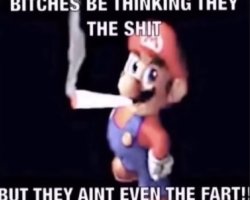 Bitches be thinking they the shit Meme Template