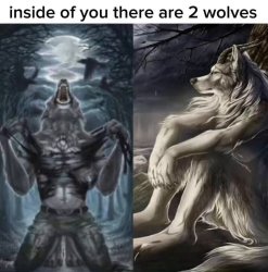 Inside you there are two wolves Meme Template