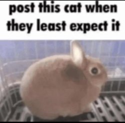 Send it when they least expect it Meme Template