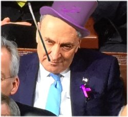 Chuck Schumer is the Penguin Meme Template