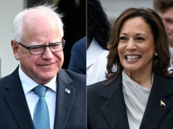 kamala x tim Meme Template