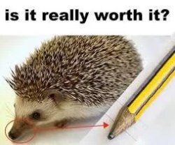 Is it really worth it? Meme Template