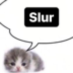 Slur (low quality) Meme Template