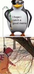 i hope i catch a good meme Meme Template