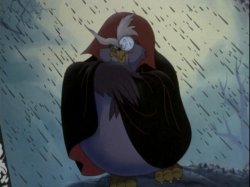 Grand Duke of Owls Meme Template