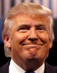 Donald Trump Meme Template