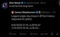 Fine long term - Musk Meme Template