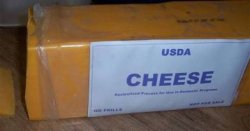 Government Cheese Meme Template