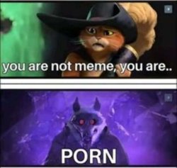 You are no meme you are porn Meme Template