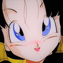 videl Meme Template