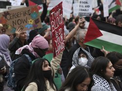 PLO Protestors 2 Hamas Meme Template