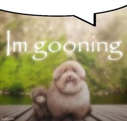 gooning speechbubble Meme Template