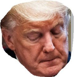 trump looking down Meme Template