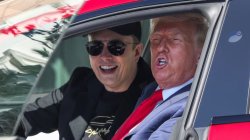 Elon and Trump Meme Template