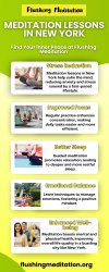 Meditation Lessons In New York Meme Template