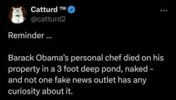 Obama's chef & Michelle's penis Meme Template