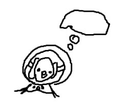 What's para thinking about Meme Template