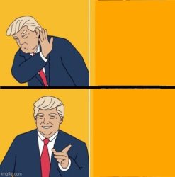 Trump likes Meme Template