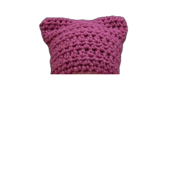 pink pussy hat Meme Template