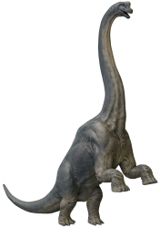 Brachiosaurus 6 Meme Template