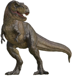Rexy 25 Meme Template