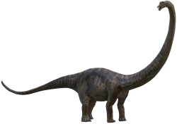 Mamenchisaurus (TLW Design) Meme Template