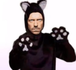 cat suit house m.d. Meme Template