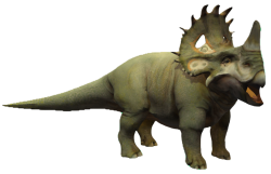 Sinoceratops 3 Meme Template