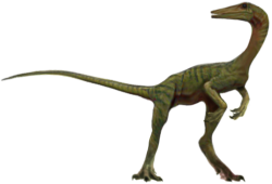 Compsognathus 7 Meme Template