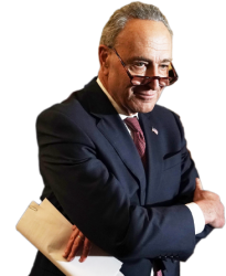Chuck Schumer Meme Template