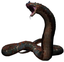 Majundaboa Meme Template