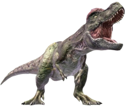 Skoonametrodon Meme Template