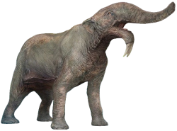 Deinotherium (JWA Design) Meme Template