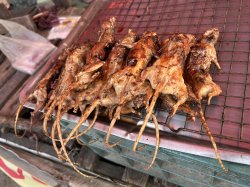 Grilled Rats in Thailand Meme Template