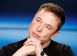 Elon asks what have you accomplished this week Meme Template