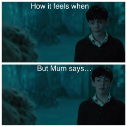 Edmund: but mum says... Meme Template