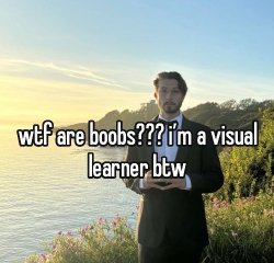 visual learner Meme Template