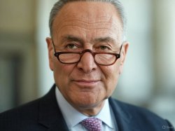 chuck schumer Meme Template