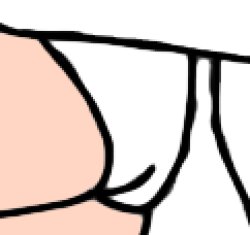 Princess Ariel's White Underwear Meme Template