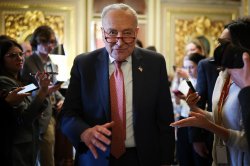 Chuck Schumer Meme Template