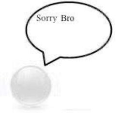 Sorry Bro Meme Template