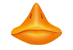 Duckbill Meme Template