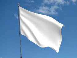 The real France Flag Meme Template