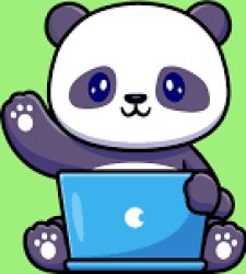 panda Meme Template