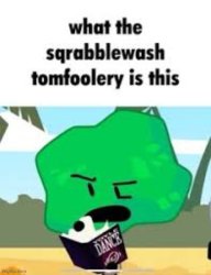 What the sqrabblewash tomfoolery is this Meme Template